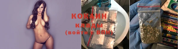 каннабис Богданович