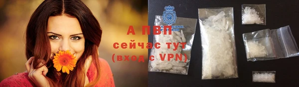 каннабис Богданович