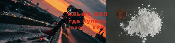 Альфа ПВП Новозыбков