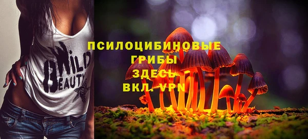ГАЛЛЮЦИНОГЕННЫЕ ГРИБЫ Богородск