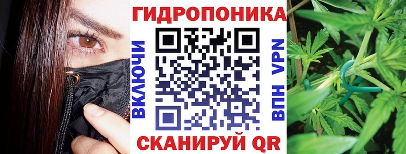 закладка  Городище  Канабис индика 